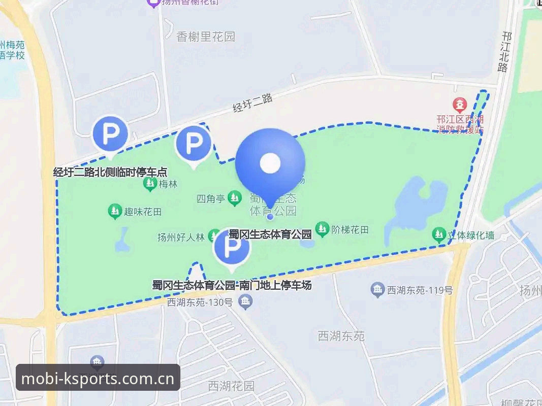K体育平台手机下载完整指南：从安装到数据解读的实用手册